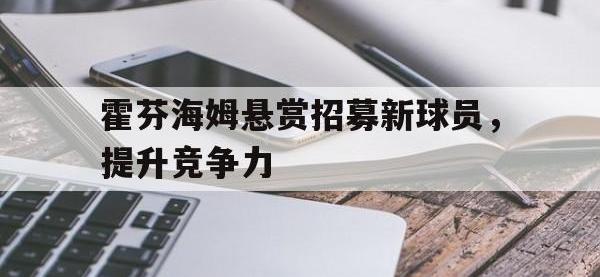 体育游戏-霍芬海姆悬赏招募新球员，提升竞争力
